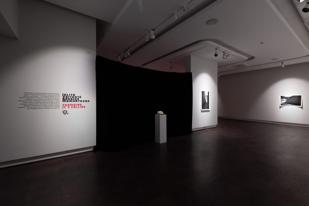 Jolita Vaitkutė ir Andrius Mamontovas. Skambina (instaliacija)