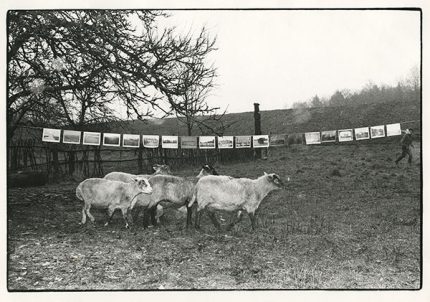 Iš naujo tverti pasaulį