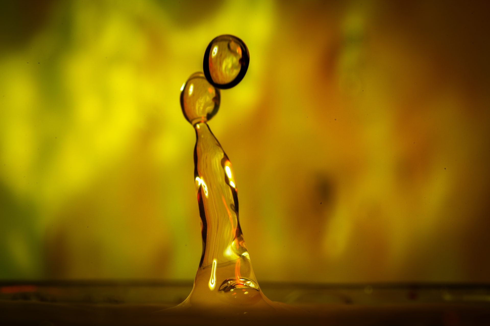 Fotografijos ir kino būrelio akimirkos