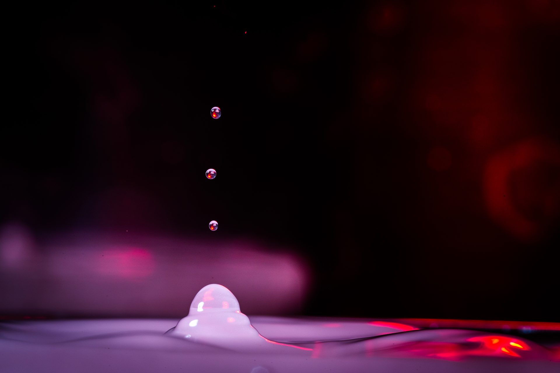 Fotografijos ir kino būrelio akimirkos