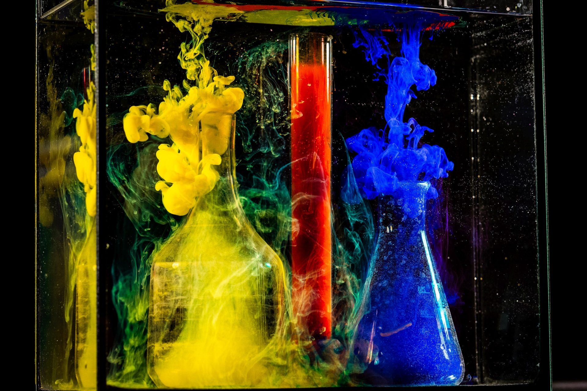 Fotografijos ir kino būrelio akimirkos