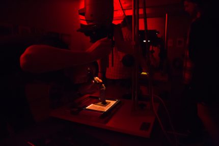 Spalvotųjų fotografijų spausdinimo meistriškumo pamoka