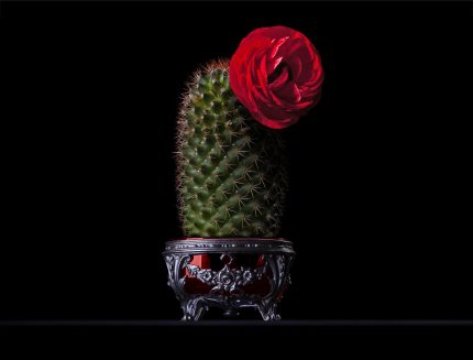 Europos muziejų naktis 2017