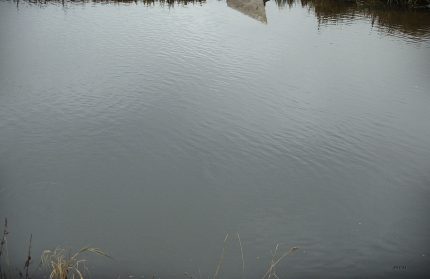 Remigijaus Pačėsos paroda „Geltona gulbė neatplauks“ Fotografijos muziejuje