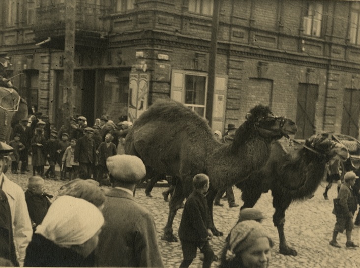Gerardas Bagdonavičius