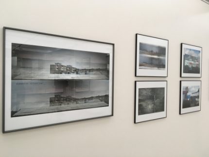 „Už liūdnumo“ Remigijaus Pačėsos paroda „Geltona gulbė neatplauks“ Kauno fotografijos galerijoje