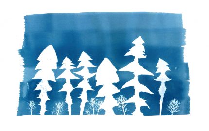 Šeimos savaitgalis Fotografijos muziejuje