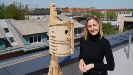 „Dėme­sio! Tuoj išsk­ris paukš­čiu­kas“