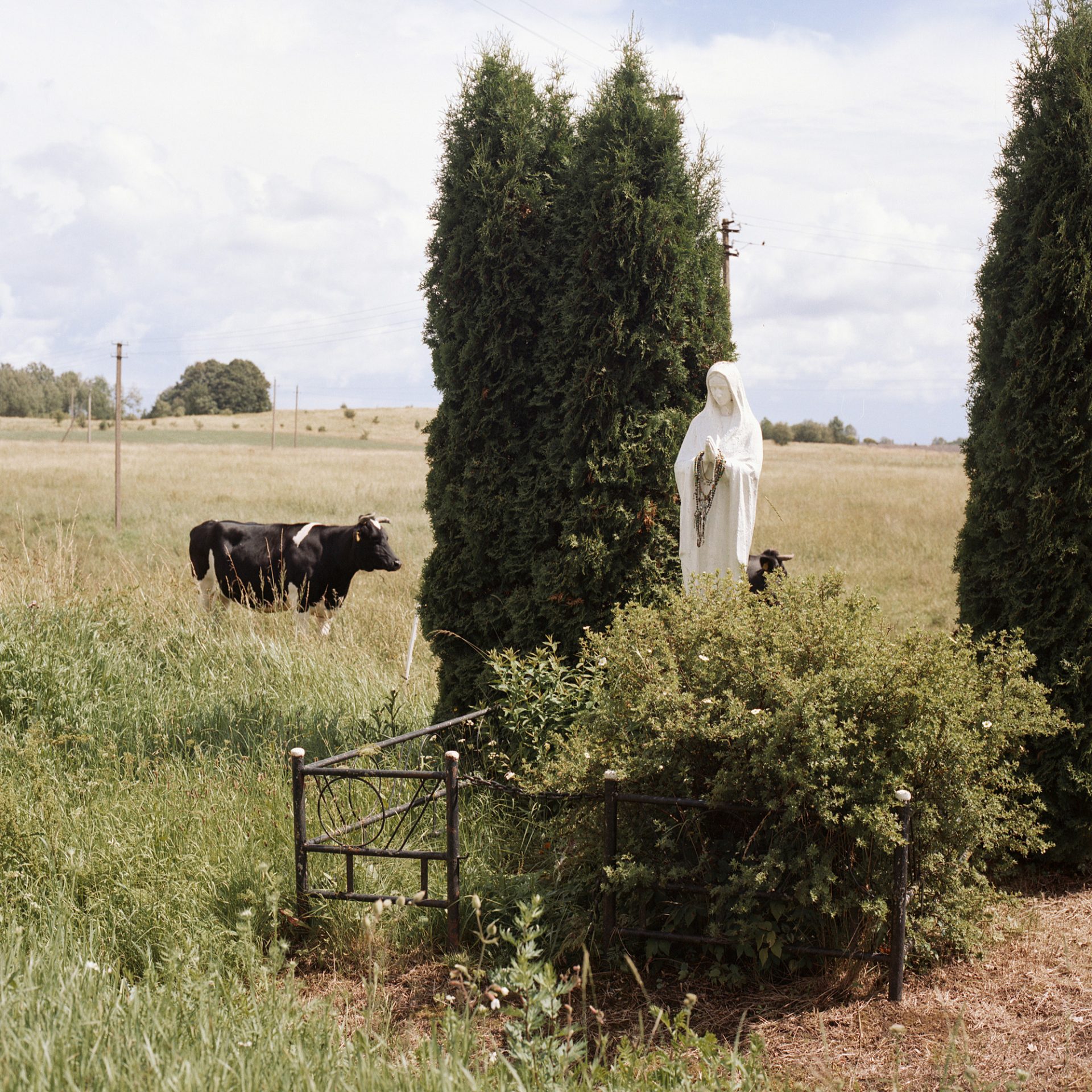 Iš ciklo „Tai, ko nebebus“.