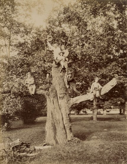 Trys fotografijų parodos Lietuvoje pristato Raudondvario grafo Benedikto Henriko Tiškevičiaus kūrybą