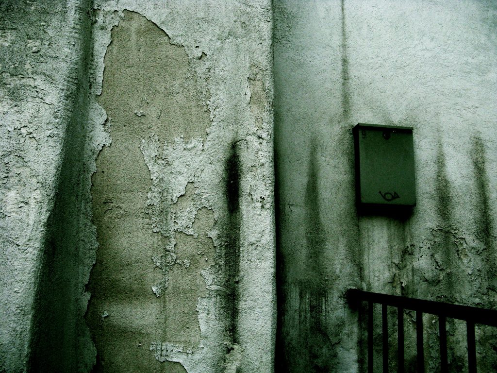 RIČARDAS NORVILA. 21 LOOK AT THE WALL