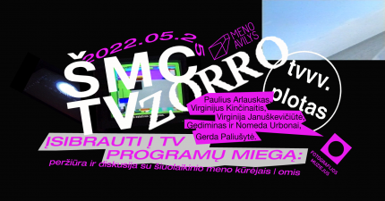 Įsibrauti į TV programų miegą