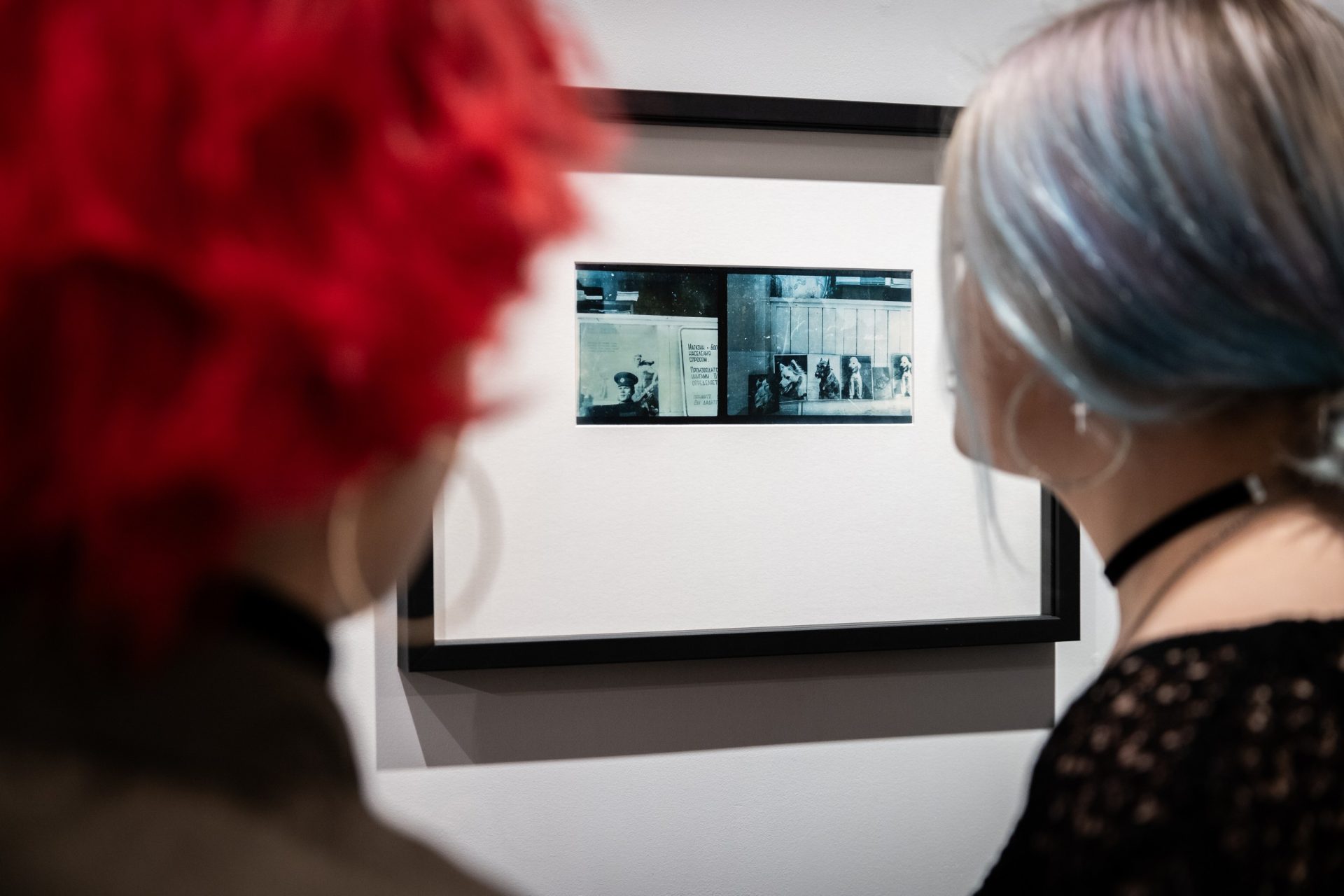 Raimundo Urbono parodos „Gyvenimas po stalu“ atidarymas