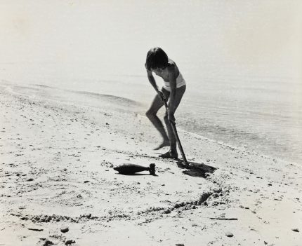 Fotografo Steponavičiaus kūryba renginių cikle „Naujos pažintys su senais pažįstamais“