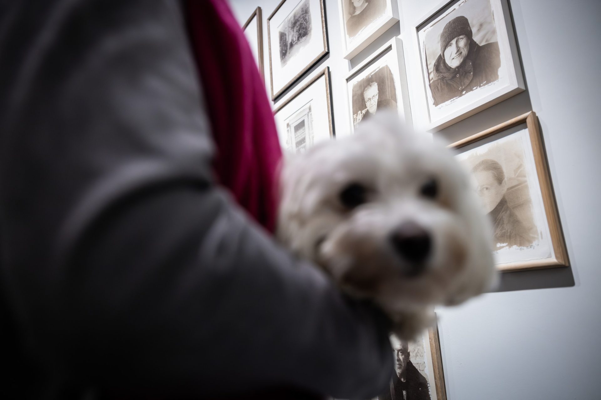 Sauliaus Paukščio parodos „Vaizdai ir Regėjimai“ atidarymas