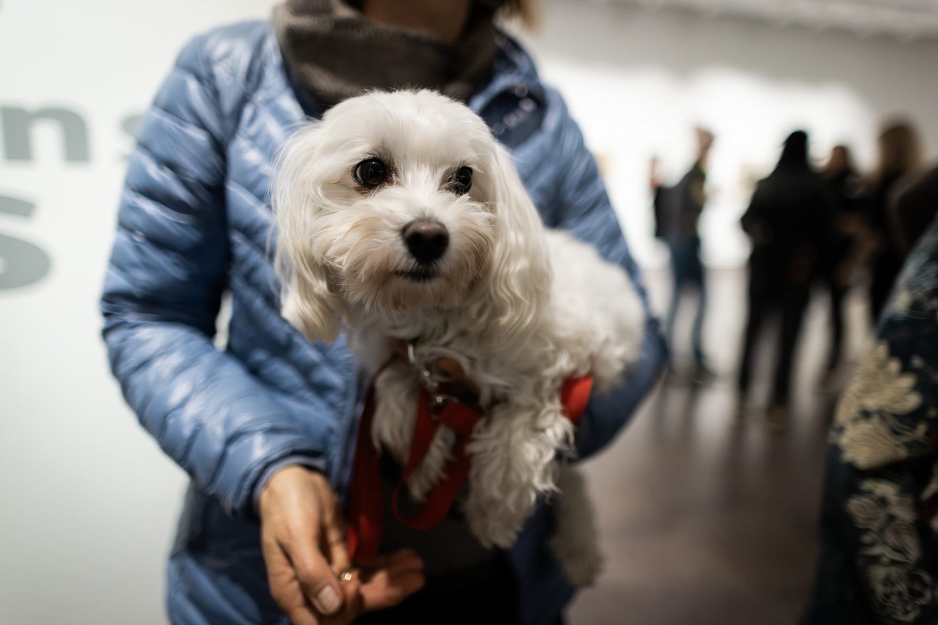 Parodos „Vizijos“ atidarymas Fotografijos muziejuje