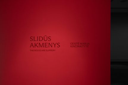 Photo reportage from the exhibition 'The rocks are slippery' by Geistė Marija Kinčinaitytė at the Museum of Photography in Šiauliai