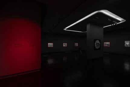 Blyksniai, nutolę vulkanai ir kaštonų žiedai. Apie metinę Šiaulių miesto fotografijos meno parodą „Résumé’2“ ir Geistės Marijos Kinčinaitytės parodą