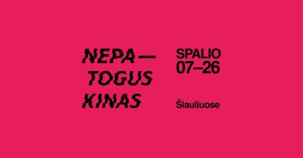 NEPATOGUS KINAS 2025 – IR FOTOGRAFIJOS MUZIEJUJE