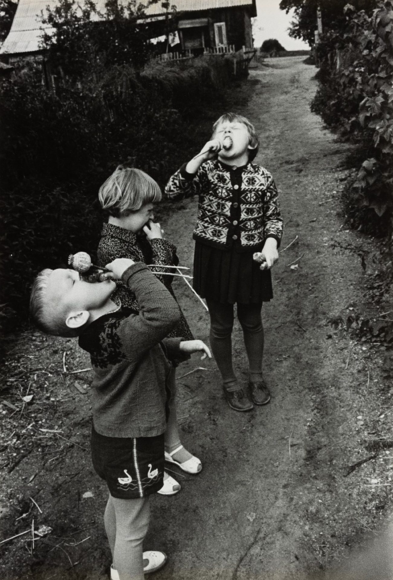 A. Macijauskas. Poppies, 20th century. 80s