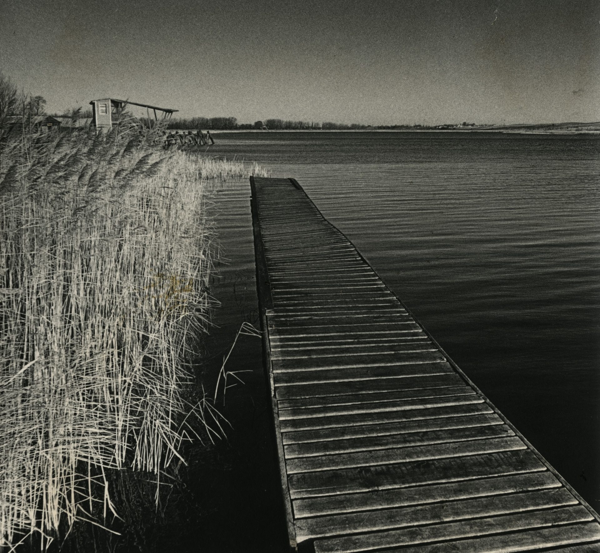 A. Vileikis. Lieptas, 8–9 deš.