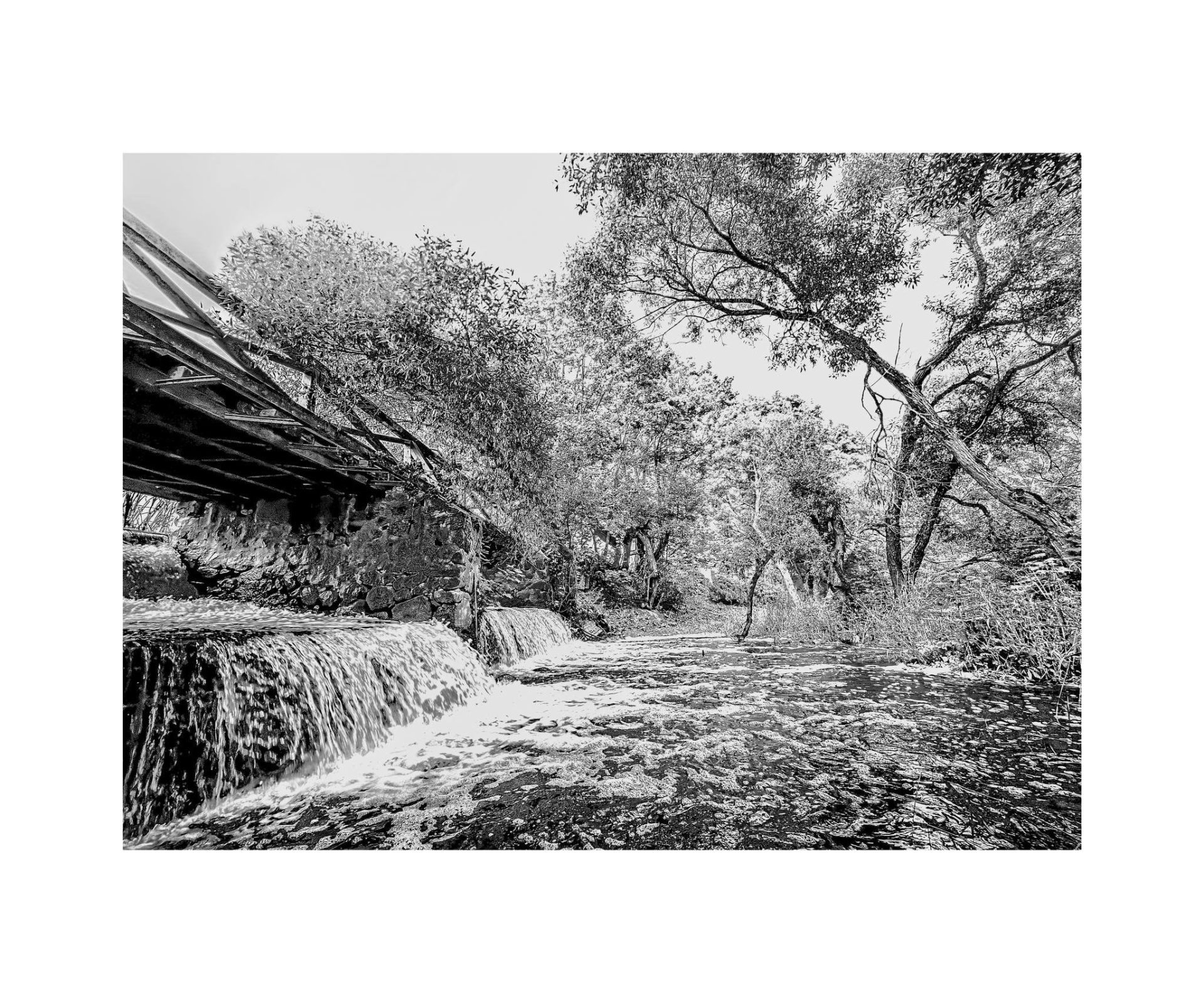 G. Šiukščius. Malūnas Užventyje, 2025 m.