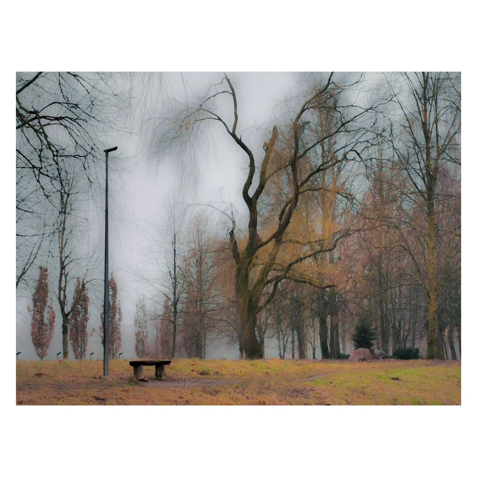 G. Šiukščius. Ruduo parke, 2024 m.