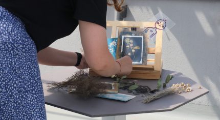 Metų laikai muziejuje. Vasaros savaitgalis šeimoms